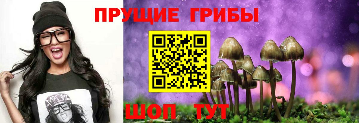 Нефтекумск  закладка  Вход с VPN  Галлюциногенные грибы GOLDEN TEACHER 